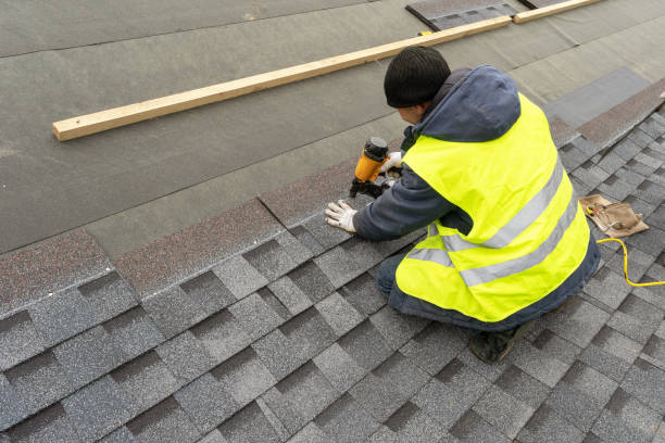 Best Roof Gutter Cleaning  in Unicoi, TN