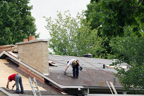 Best Gutter Installation and Roofing  in Unicoi, TN