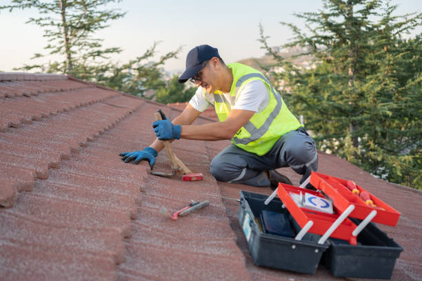 Gutter Installation and Roofing in Unicoi, TN
